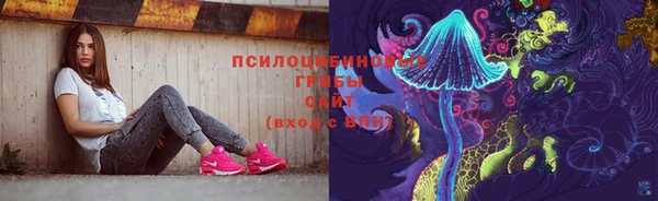 Альфа ПВП Нефтегорск