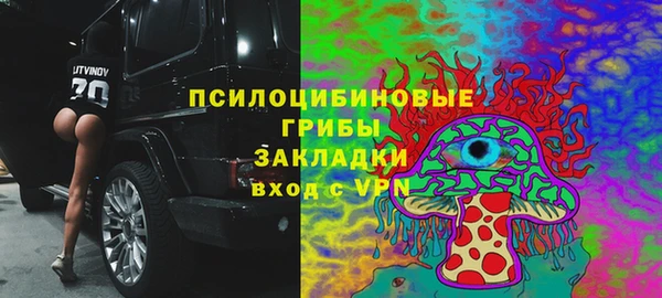 герыч Алексин